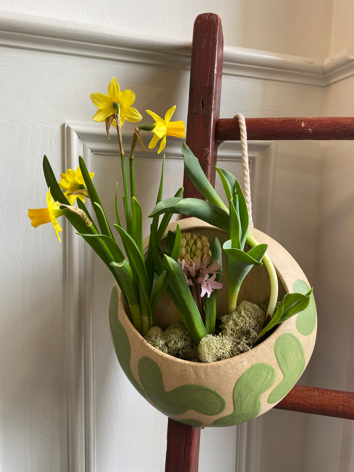 Hanging Planters