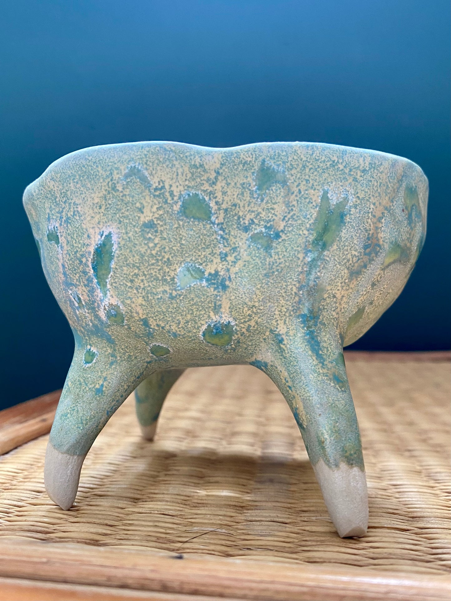 Legged Succulent Pots