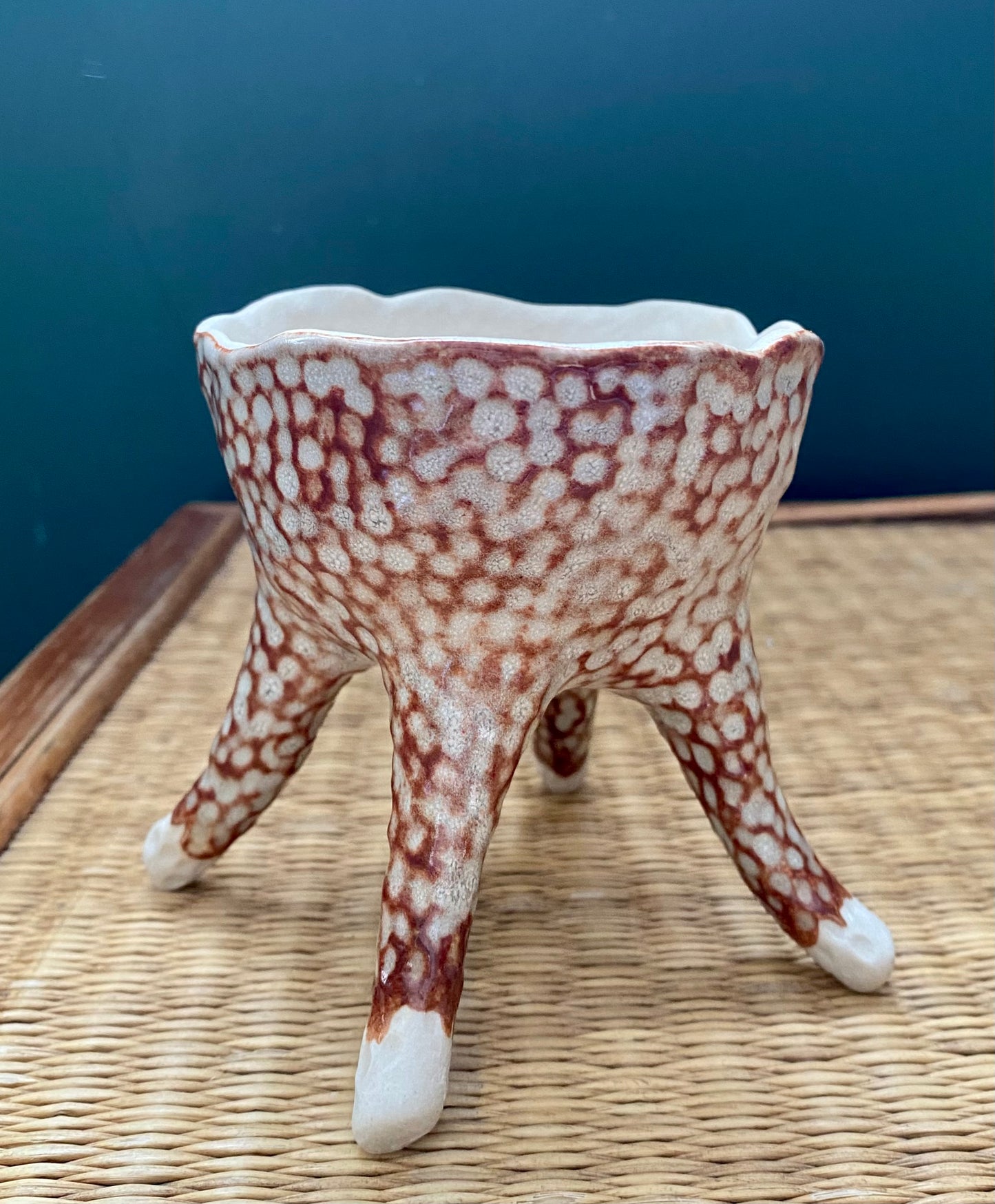 Legged Succulent Pots